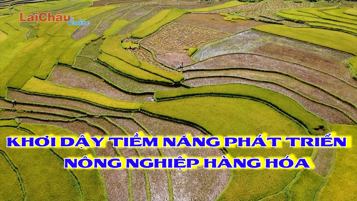Khơi dậy tiềm năng phát triển nông nghiệp hàng hóa