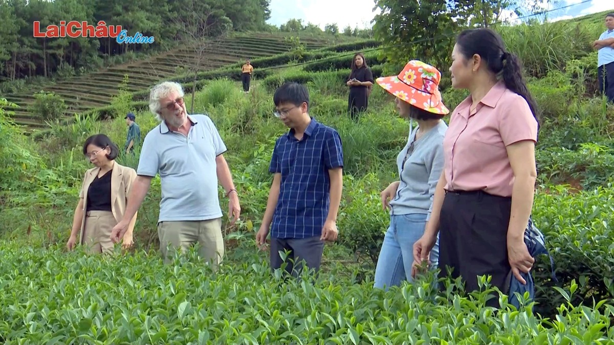 Hiệp hội Hợp tác kinh doanh Nông nghiệp Hà Lan - Việt Nam khảo sát và làm việc tại tỉnh 