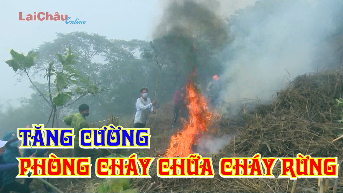 Tăng cường phòng cháy chữa cháy rừng
