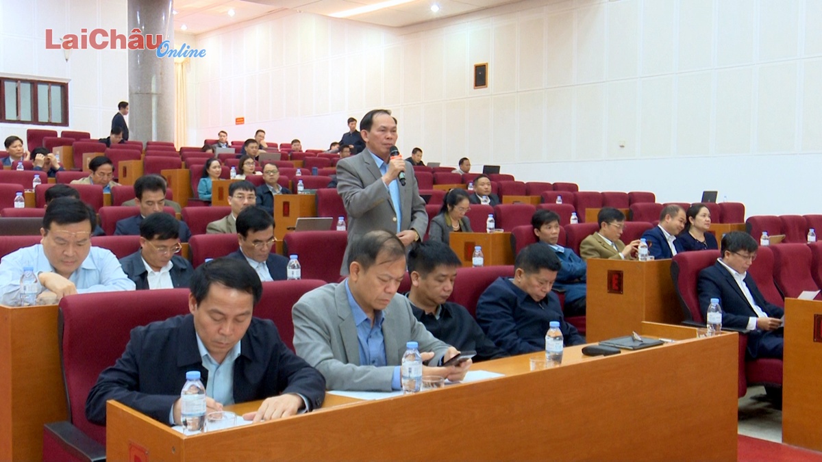 Thảo luận, giải trình các vấn đề của đại biểu HĐND tỉnh
