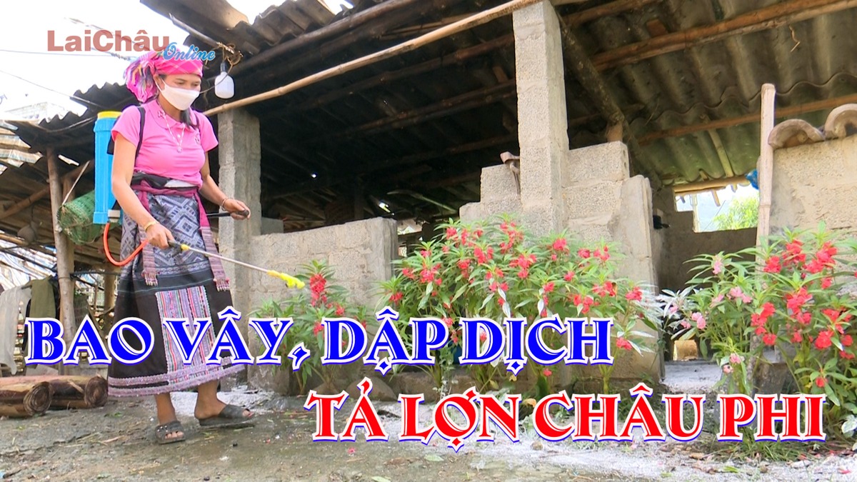 Bao vây, dập dịch tả lợn Châu Phi