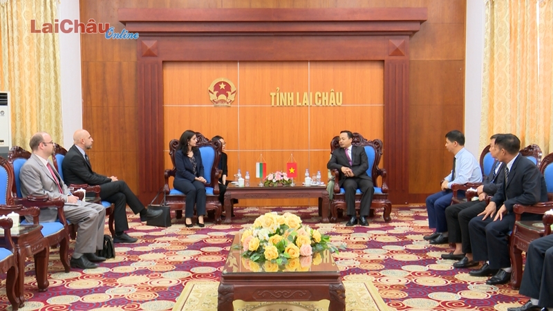 Chủ tịch UBND tỉnh tiếp xã giao Đại sứ đặc  mệnh toàn quyền nước Cộng hòa Bulgaria tại Việt Nam và Đoàn công tác