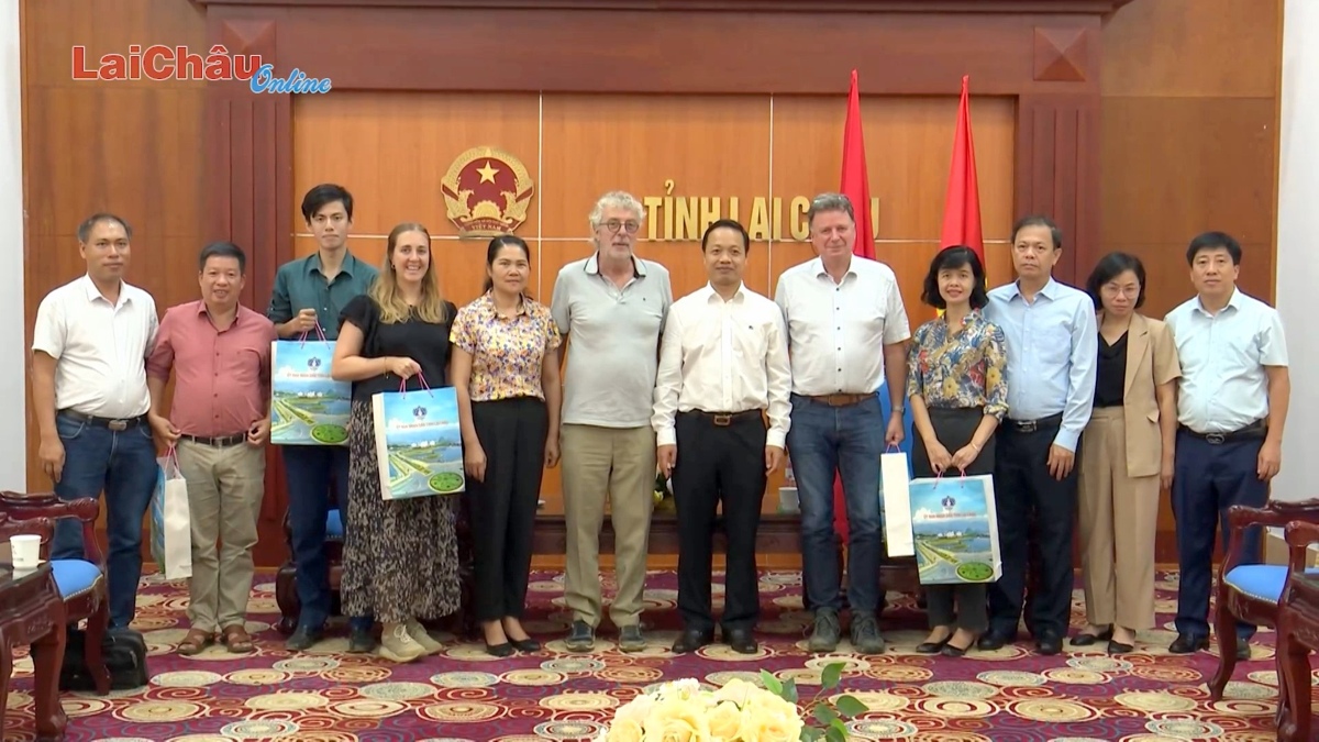 Hiệp hội Hợp tác kinh doanh Nông nghiệp Hà Lan - Việt Nam chào xã giao lãnh đạo tỉnh Lai Châu