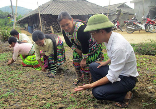 Đồng chí Cứ A Sở - Chủ tịch xã Khun Há (huyện Tam Đường) - một cán bộ dân tộc Mông trẻ được nhân dân tín nhiệm, tin yêu. Trong ảnh: Đồng chí Cứ A Sở (người đội mũ) hướng dẫn bà con trồng rau màu.