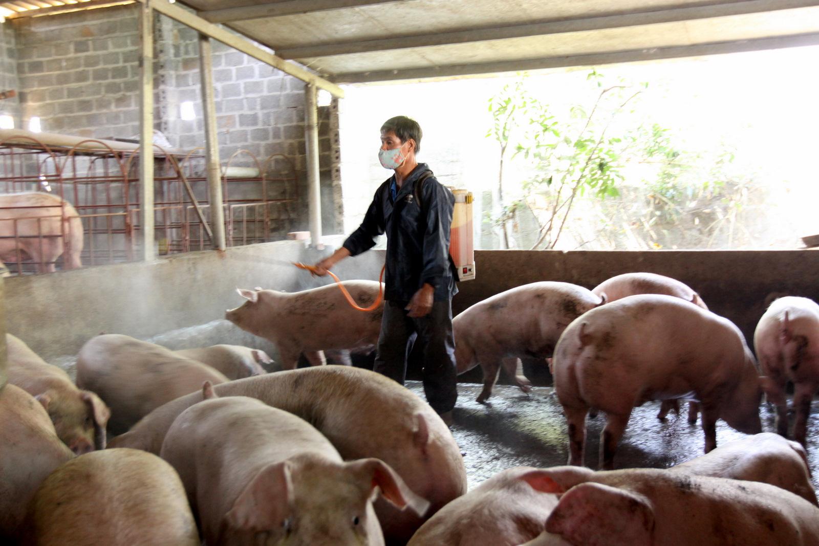  Bà con thị trấn Tân Uyên phun thuốc tiêu độc khử trùng phòng dịch tả lợn Châu Phi nhằm đảm bảo VSATTP trong chăn nuôi