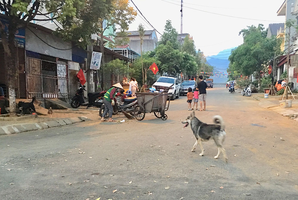 Tình trạng chó thả rông không rọ mõm vẫn diễn ra phổ biến trên địa bàn thành phố Lai Châu.