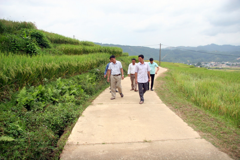 Cán bộ Phòng kinh tế hạ tầng huyện cùng xã Mường Cang kiểm tra đường nội đồng vùng lúa