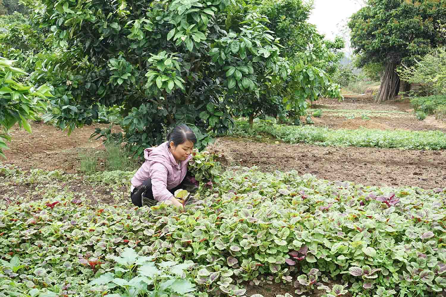 Phụ nữ Pắc Ta học Bác từ những điều giản dị