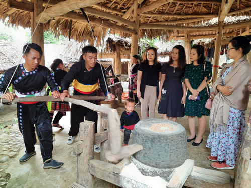  Đoàn tham quan tìm hiểu văn hóa nông nghiệp vùng cao Sin Suối Hồ.