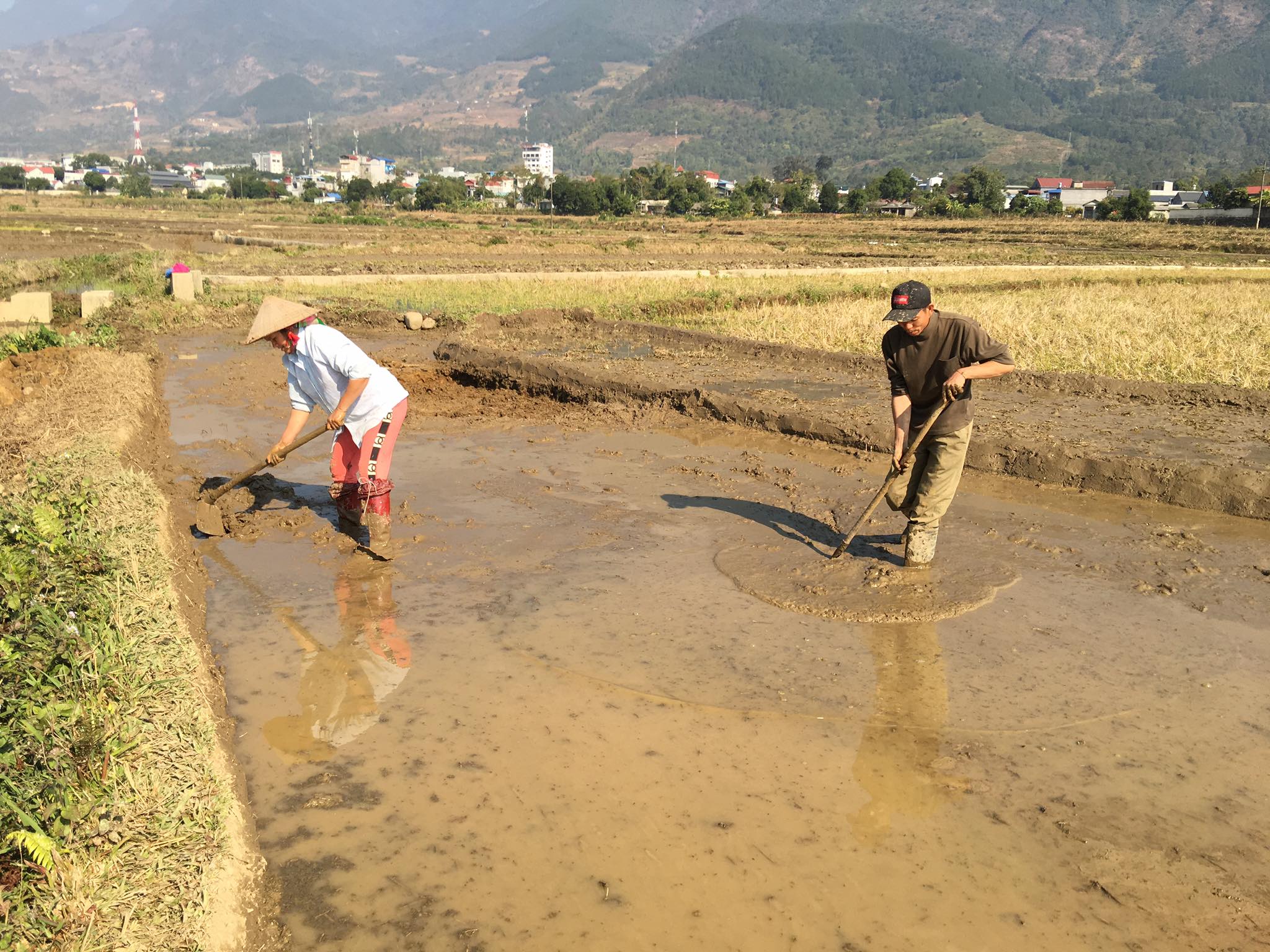 Nông dân huyện tam Đường làm đất chuẩn bị gieo cấy lúa Đông xuân