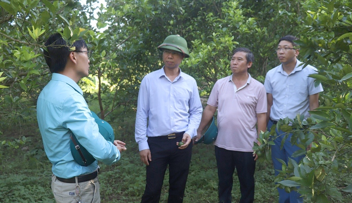 Đồng chí Hoàng Quốc Khánh - Bí thư Huyện ủy Tam Đường (thứ 2 từ trái sang) kiểm tra tình hình phát triển kinh tế tại xã Bản Giang.