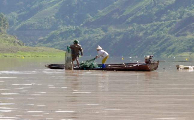 Người dân bản Chiềng Chăn (xã Chăn Nưa) khai thác thủy sản trên vùng lòng hồ Thủy điện Sơn La.