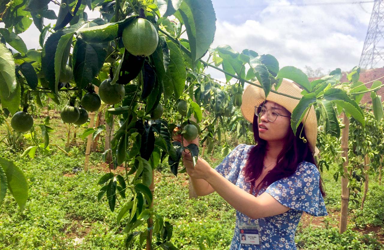 Diêm nậm hàng