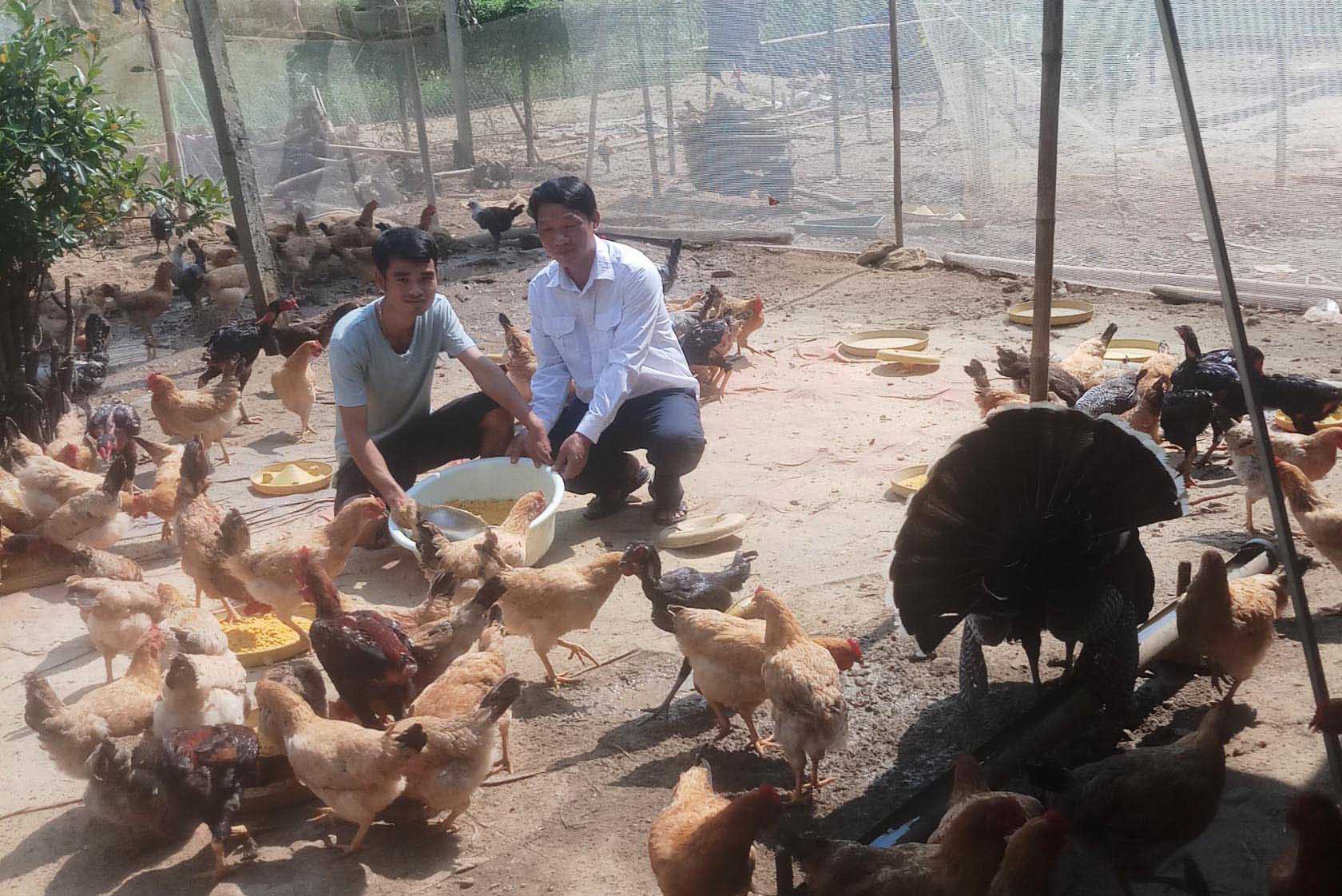 Anh Quý hướng dẫn người dân xã Mường Cang (huyện Than Uyên) sử dụng thảo dược trong phòng và chữa bệnh cho gà.