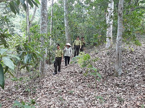 Cán bộ Hạt Kiểm lâm huyện Phong Thổ cùng người dân thị trấn Phong Thổ tuần tra bảo vệ rừng.
