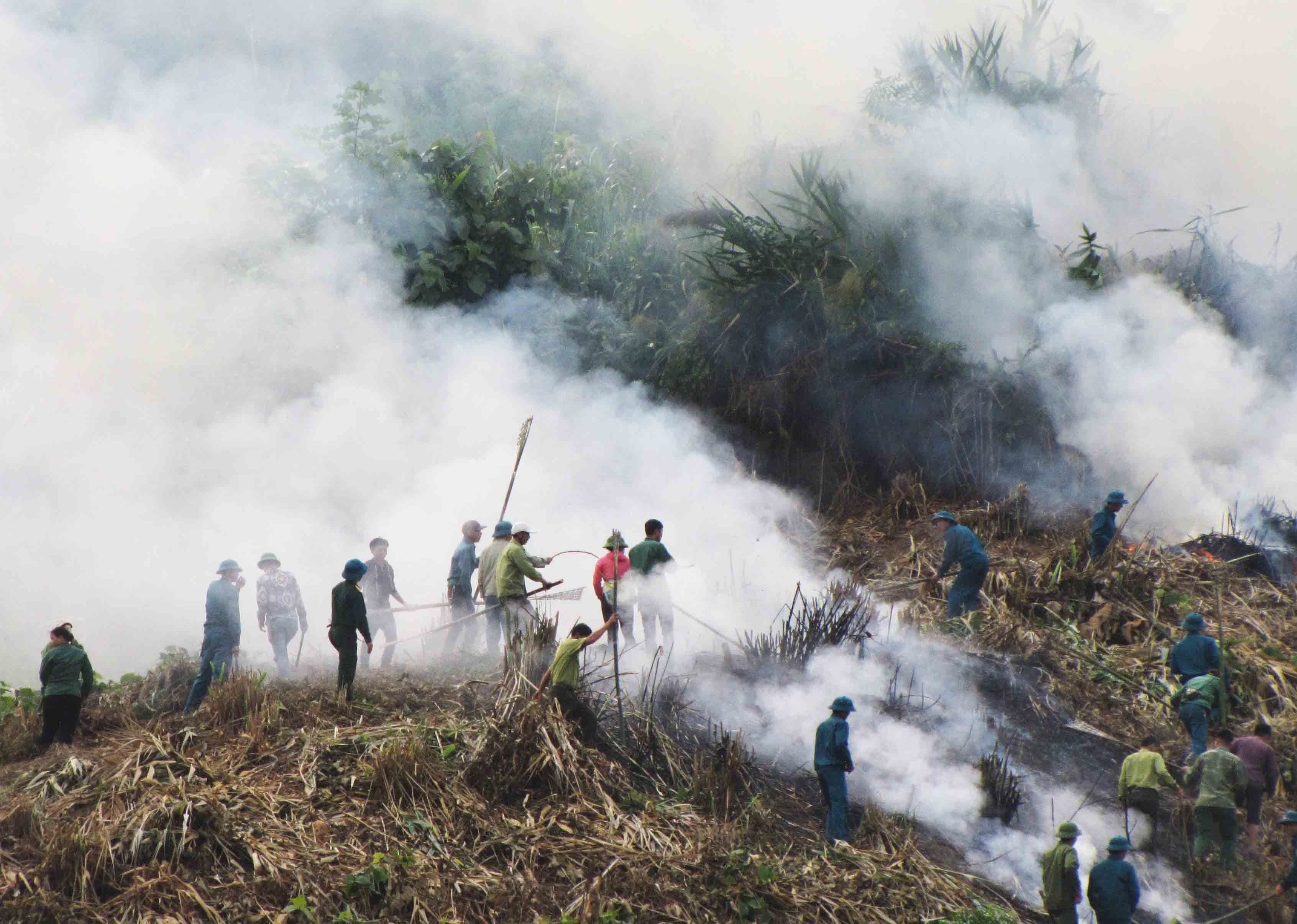 Các lực lượng tham gia thực hành chữa cháy rừng