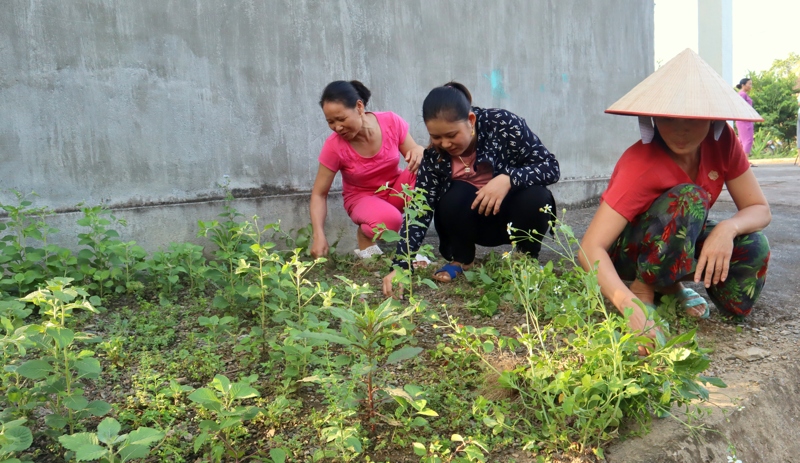 Phụ nữ bản Chang, xã Lê Lợi (huyện Nậm Nhùn) tích cực vệ sinh môi trường.