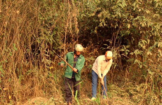 Người dân xã Nậm Tăm, huyện Sìn Hồ phát quang, bảo vệ rừng.