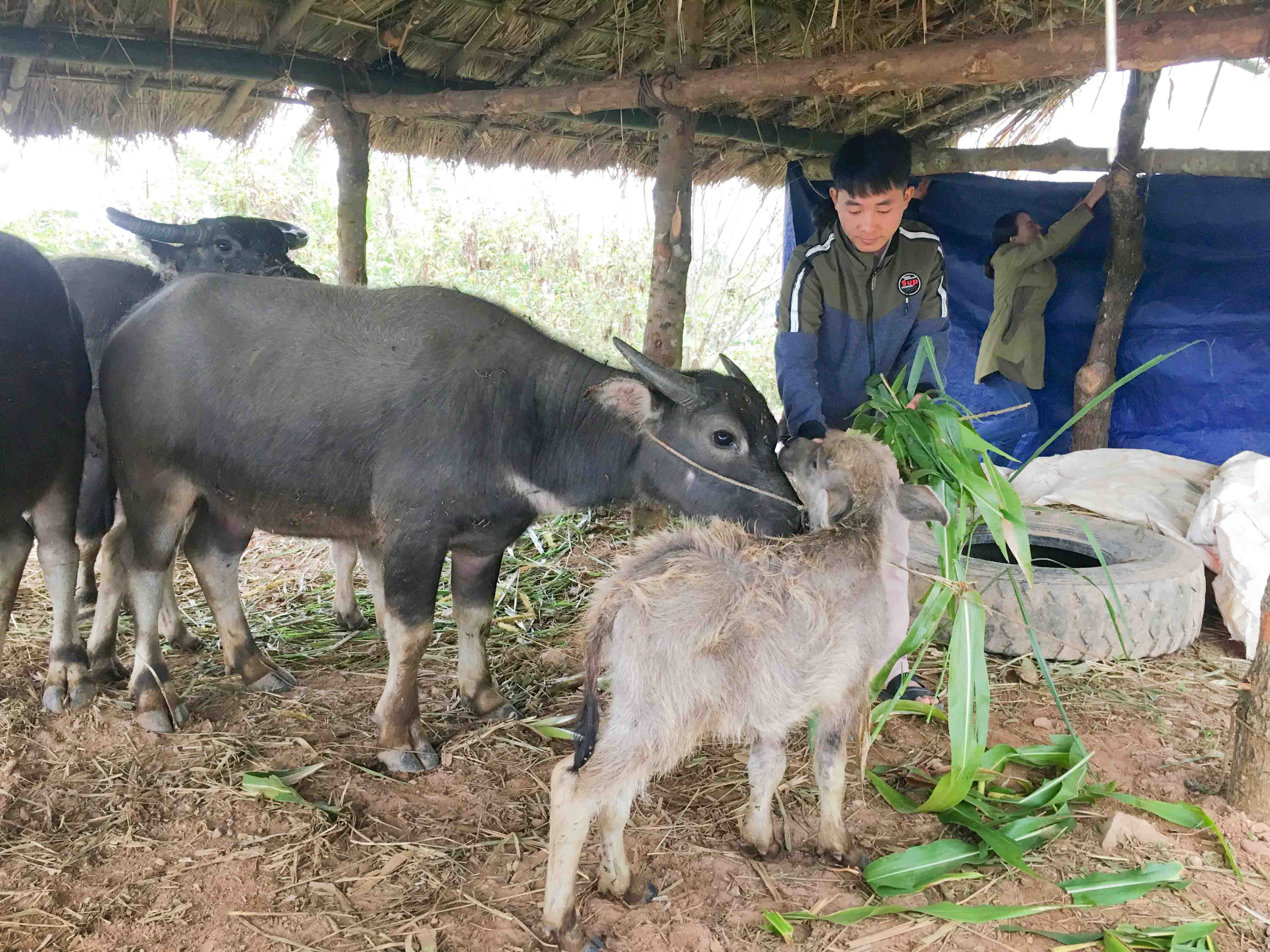 Người dân bản Séo Lèng (Phìn Hồ, Sìn Hồ) 