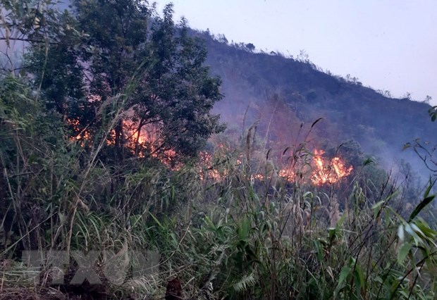 Dân đốt cây bụi làm nương ở bản Nậm Dê, xã Bình Lư, huyện Tam Đường (Lai Châu), gió mạnh nên ngọn lửa lan rộng ra xung quanh. (Ảnh: Việt Hoàng/TTXVN)