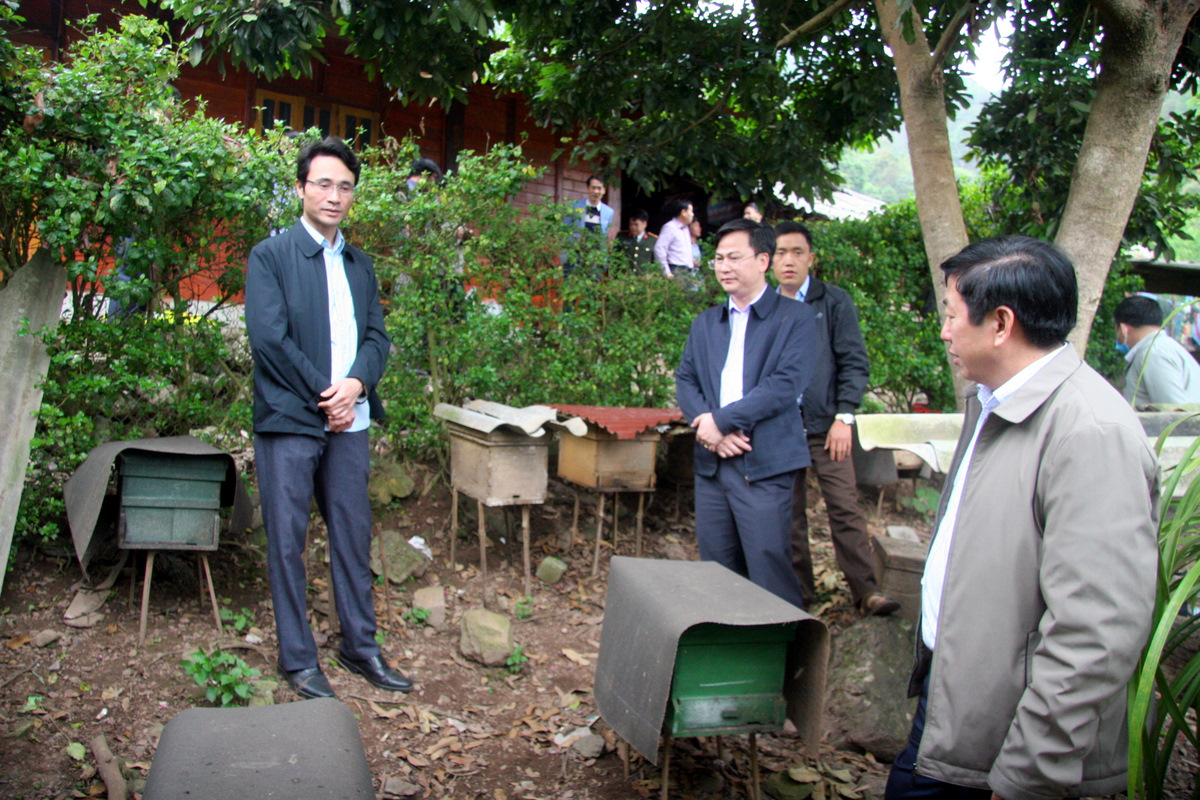 Đoàn công tác thăm mô hình nuôi ong bản Thèn Thầu, xã Khun Há (huyện Tam Đường).