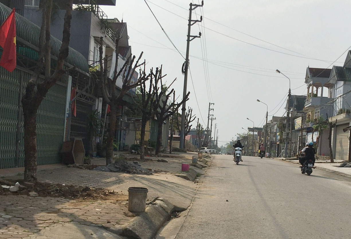 Hàng cây xanh dọc đường Ngô Quyền được đốn cành còn trơ lại thân cây.