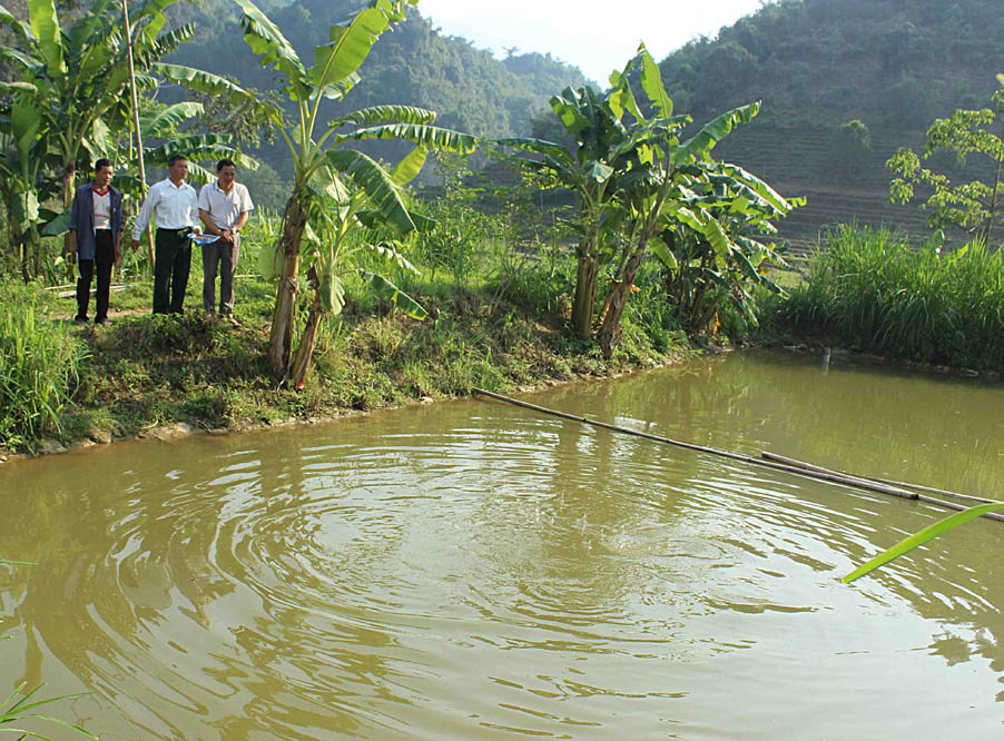 Ông Vàng  Văn Pầu (ở giữa) trao đổi kinh nghiệm nuôi cá với  người dân  Bản Hon.