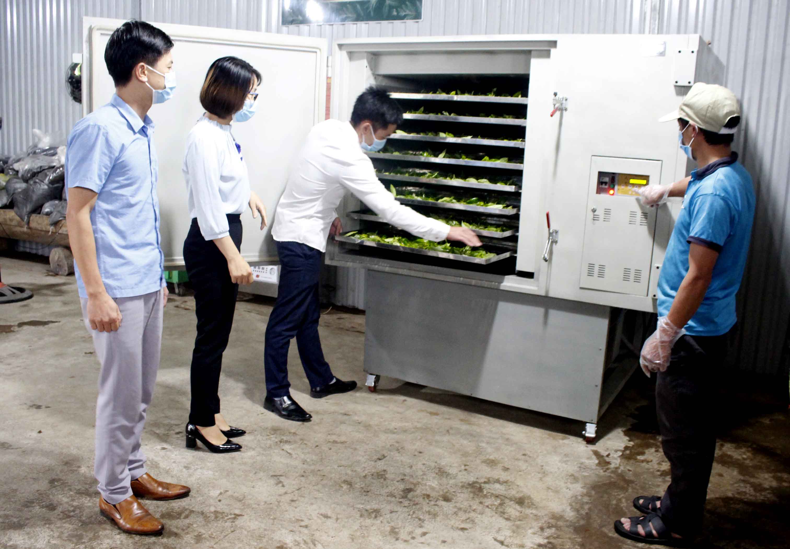 : Cán bộ Trung tâm Khuyến công (Sở Công thương) tỉnh nghiệm thu máy sấy lạnh tại HTX Biên Cương (xã Mồ Sì San, huyện Phong Thổ). 