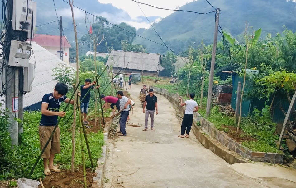 Người dân bản Nùng Nàng (xã Nùng Nàng) dọn cỏ, trồng cây hoa ban dọc hai bên trục đường giao thông nông thôn.