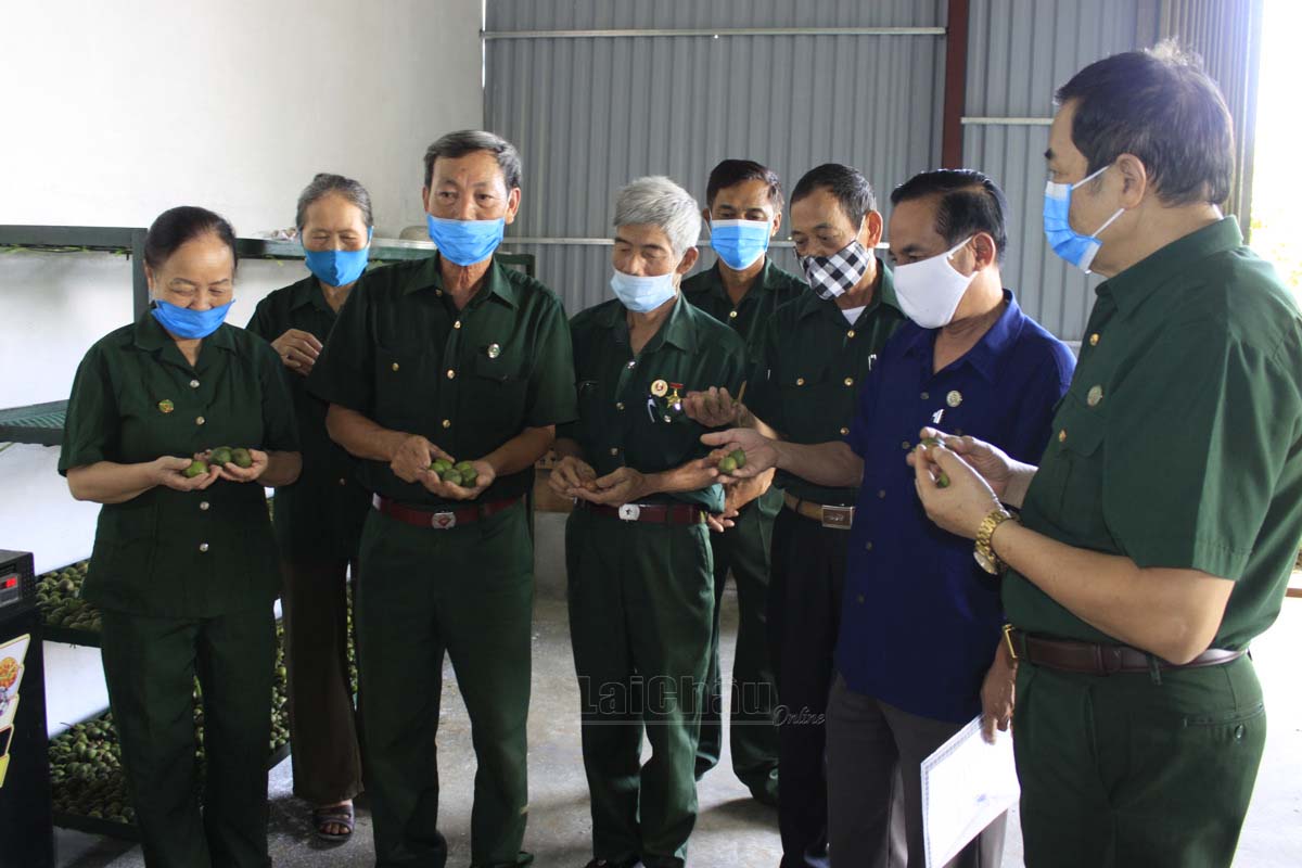 Các hội viên tham quan mô hình sản xuất mắc-ca của cựu TNXP Nguyễn Xuân Cát.