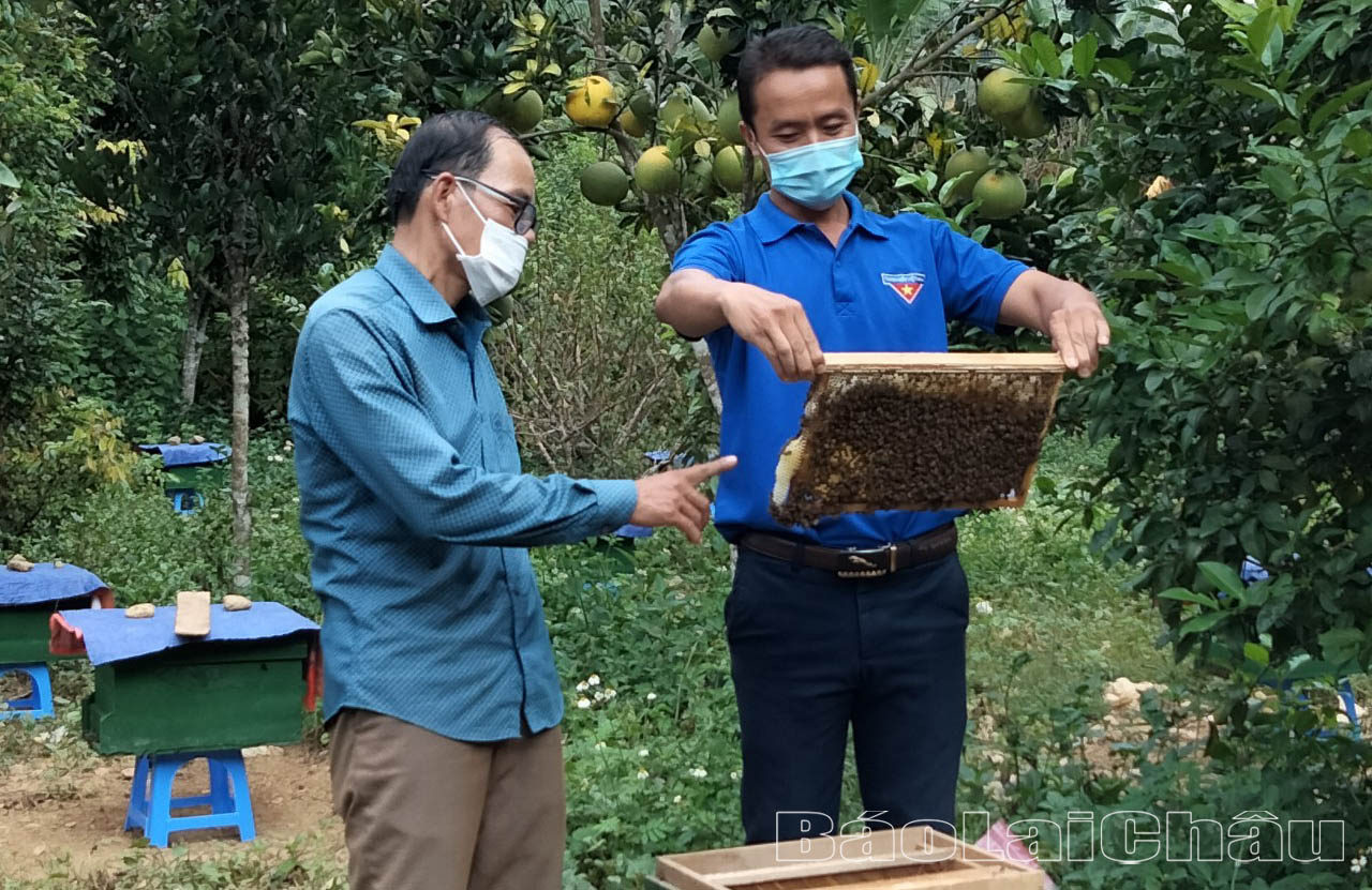 Sản phẩm mật ong của HTX Thanh Niên Pha Mu (xã Pha Mu) hoàn toàn từ tự nhiên với quy trình sản xuất đảm bảo an toàn vệ sinh thực phẩm đã được công nhận đạt tiêu chuẩn OCOP 3 sao cấp tỉnh.