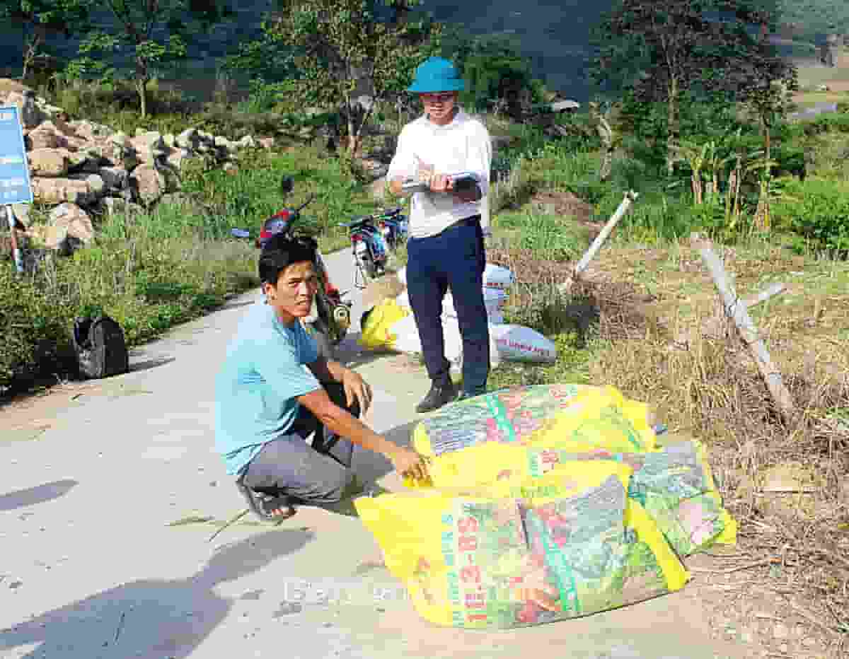 Nông dân huyện Tam Đường chủ động mua phân bón cho cây chè.