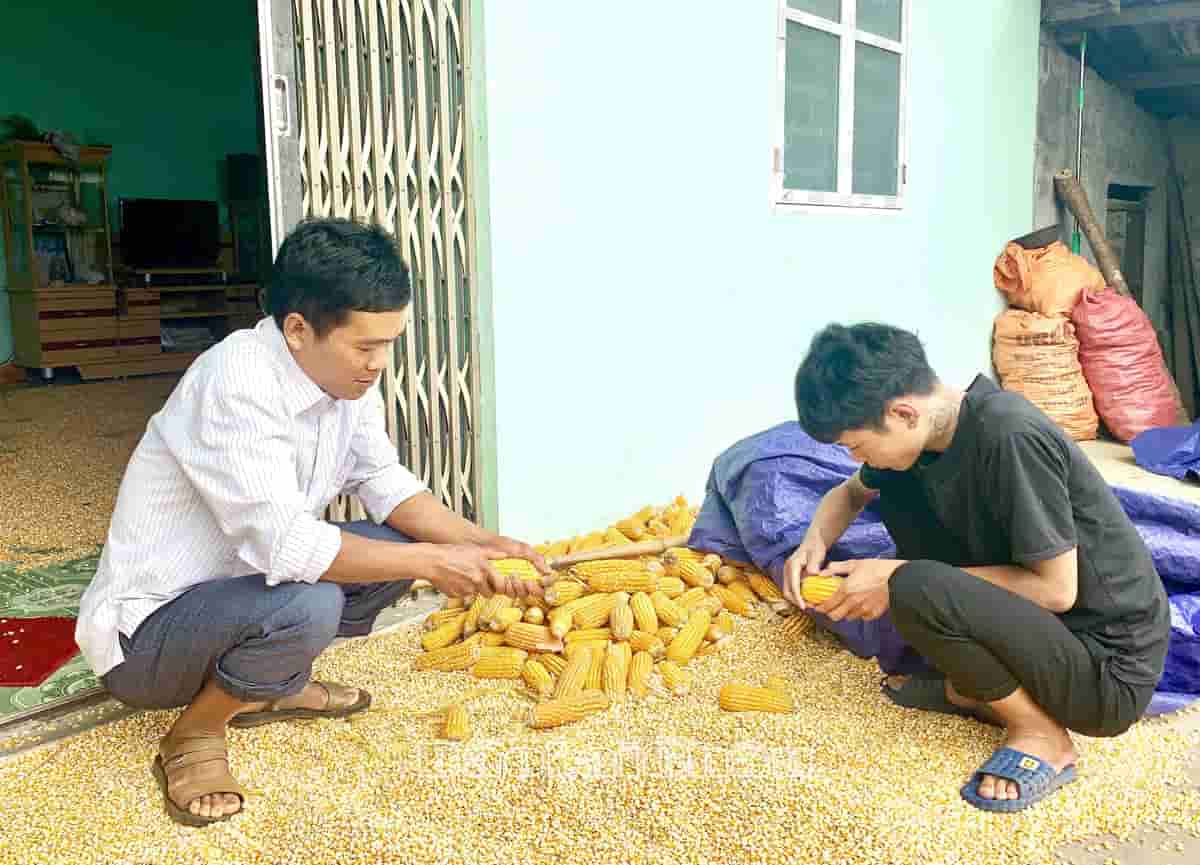 Em Tẩn A Sài (bên phải) sau khi từ Campuchia trở về địa phương tích cực lao động sản xuất, phụ giúp gia đình phát triển kinh tế.