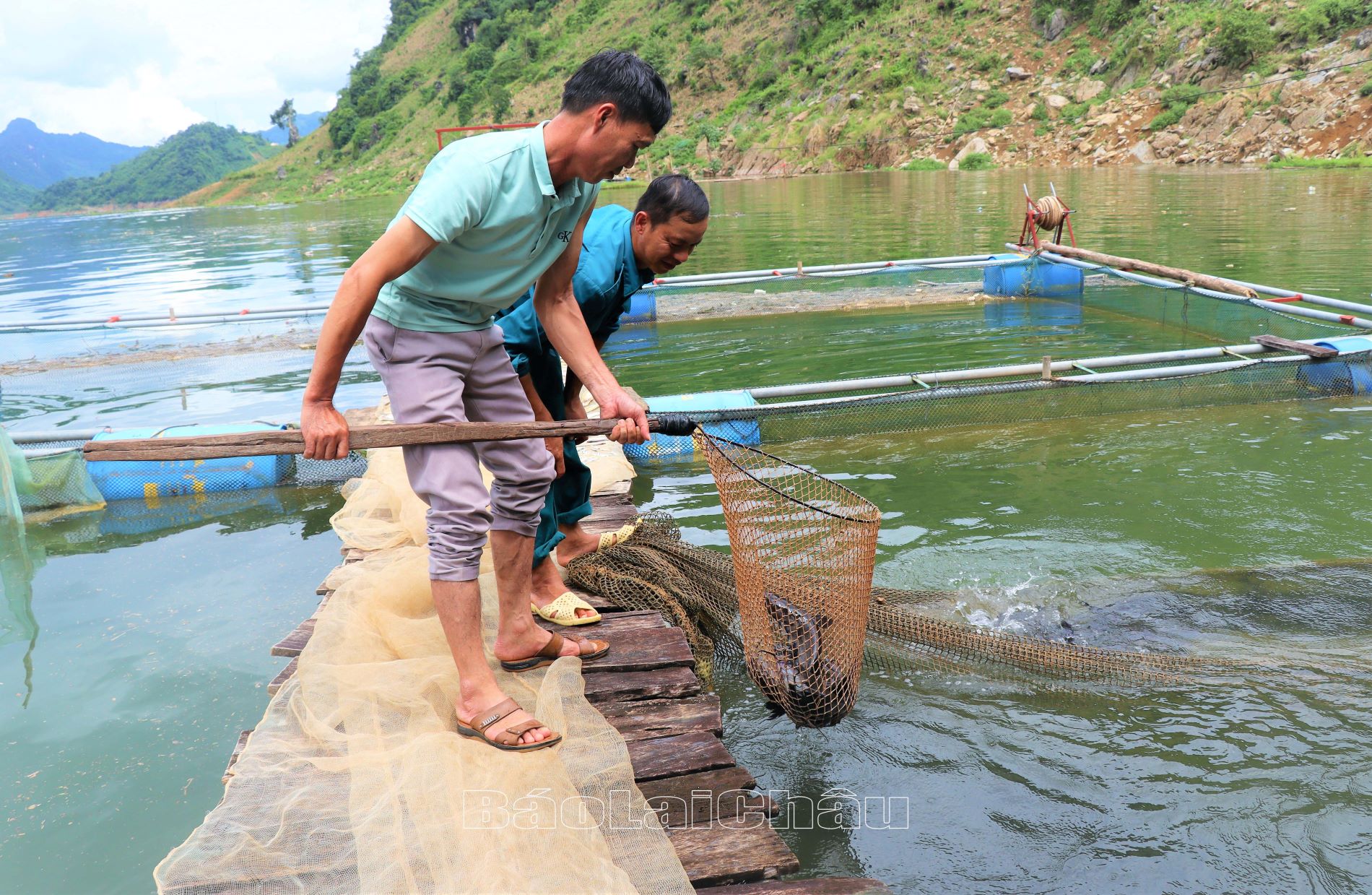 Người dân bản Co Lẹ (xã Nậm Mạ) giảm nghèo từ nuôi cá lồng.