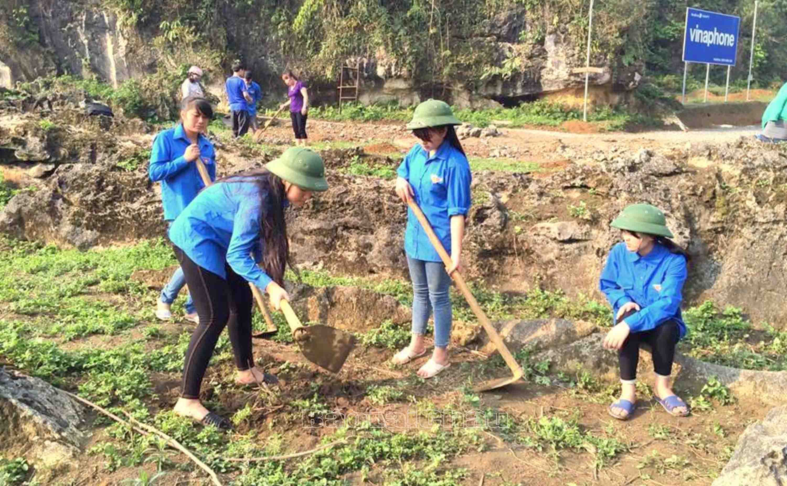 Đoàn viên thanh niên Thành đoàn Lai Châu tham gia trồng cây xanh tại bản Gia Khâu (xã Sùng Phài, thành phố Lai Châu).