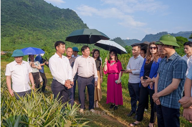 Lãnh đạo các cấp trực tiếp chỉ đạo, triển khai thực hiện Nghị quyết của Ban Chấp hành Đảng bộ tỉnh về phát triển nông nghiệp hàng hóa tập trung giai đoạn 2021-2025, định hướng đến năm 2030 ở xã Nậm Tăm (huyện Sìn Hồ).