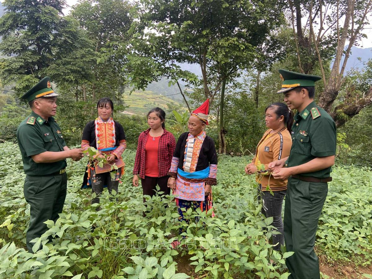 Cán bộ chiến sỹ Đồn Biên phòng Vàng Ma Chải (huyện Phong Thổ) hướng dẫn bà con chăm sóc đậu tương