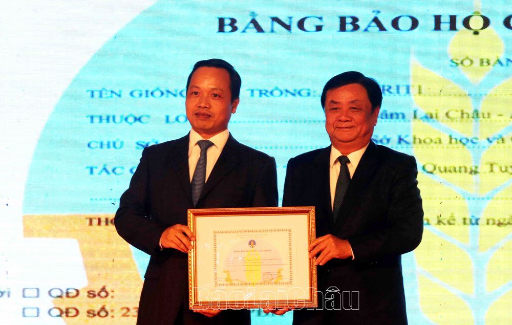 Đồng chí Lê Minh Hoan - Ủy viên BCH TƯ Đảng, Bộ trưởng Bộ NN&PTNT trao Bằng bảo hộ giống cây trồng Sâm Lai Châu. 