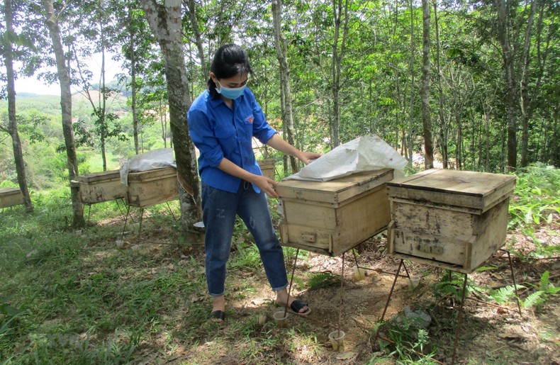 Chị Nguyễn Lê Ngọc Linh kiểm tra thùng nuôi ong trong vườn rừng. Ảnh: Nguyễn Nam