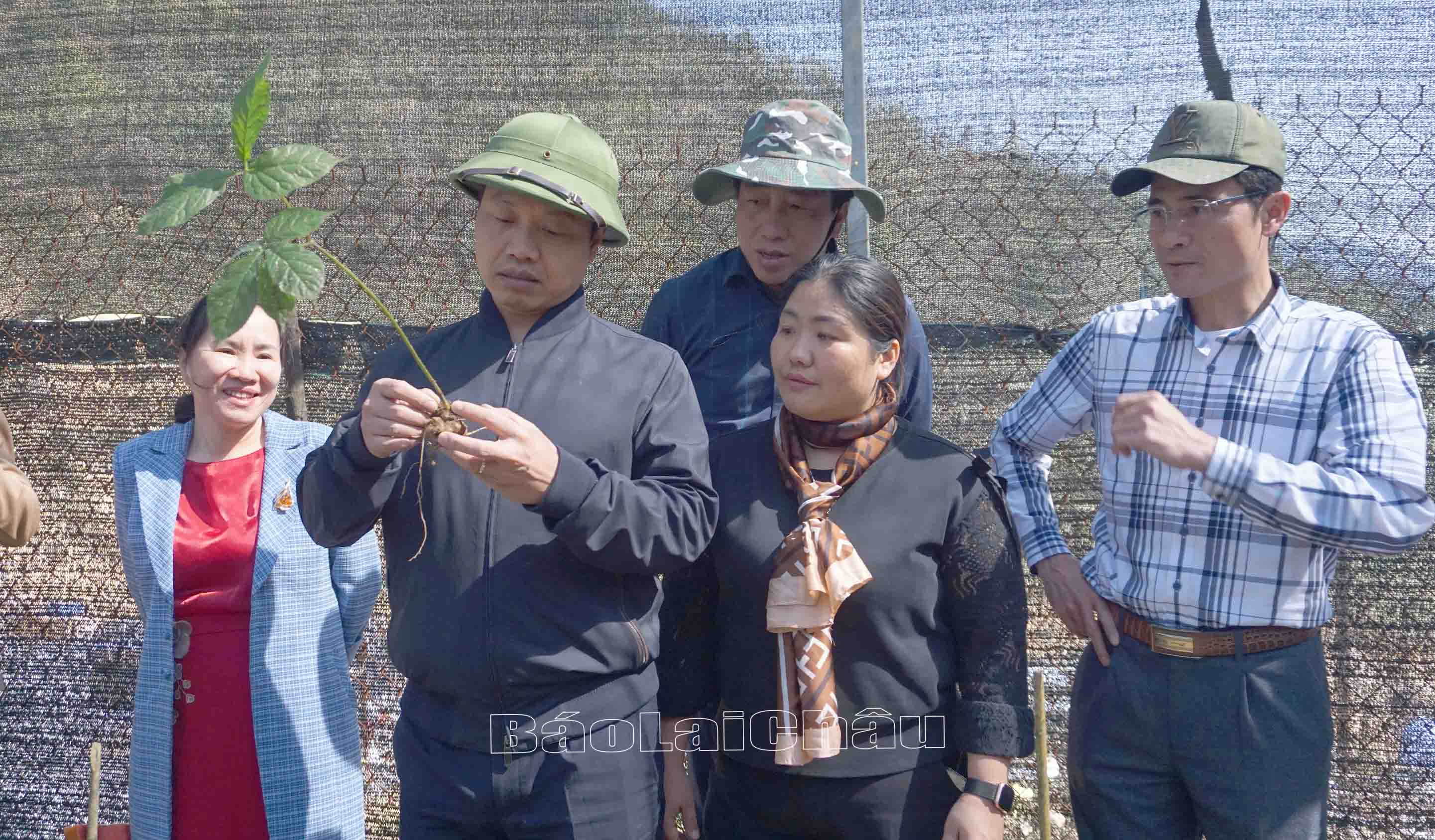 Đồng chí Trần Tiến Dũng cùng Đoàn công tác thăm vùng trồng sâm của công ty Phương Liên.