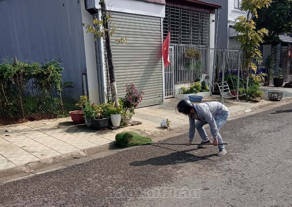 Cán bộ phường Tân Phong phối hợp vây bắt, xử lý chó thả rông theo quy định.