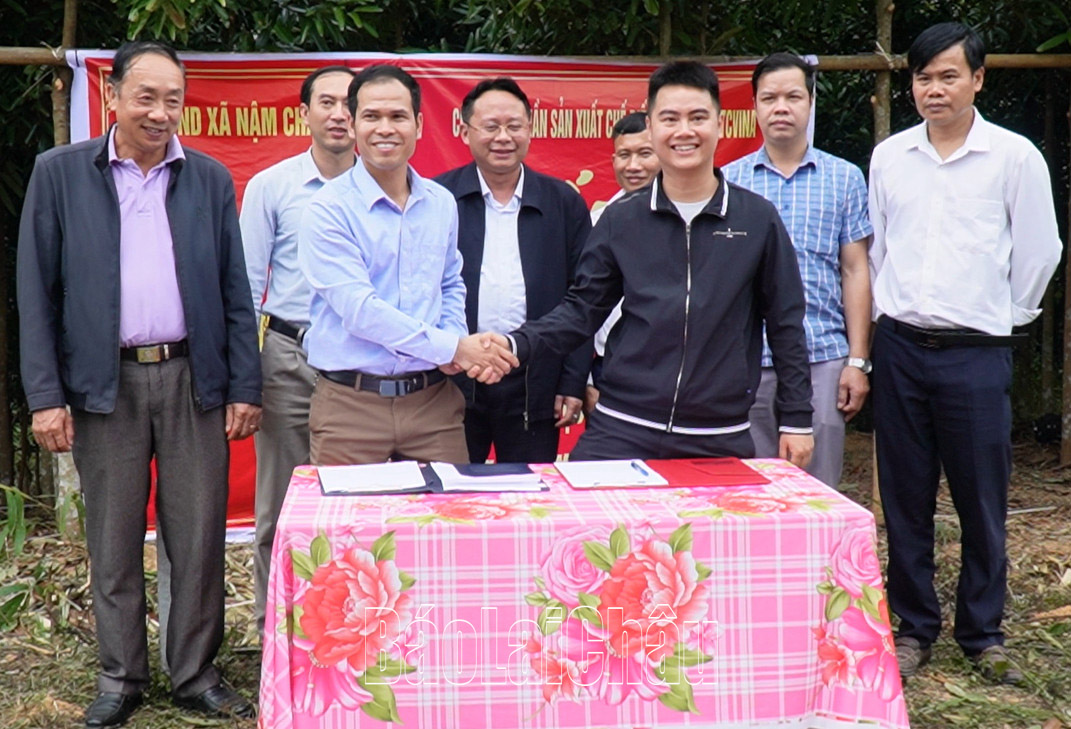 Lãnh đạo UBND xã Nậm Chà và Công ty Cổ phần sản xuất chế biến dược liệu HTCVINA ký kết thu mua, chế biến quế.