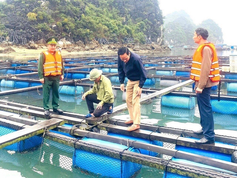  Bộ đội Biên phòng tỉnh Quảng Ninh giúp người dân khu vực biên giới biển phát triển nuôi trồng thủy sản