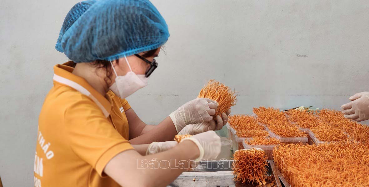 Xây dựng nền nông nghiệp xanh