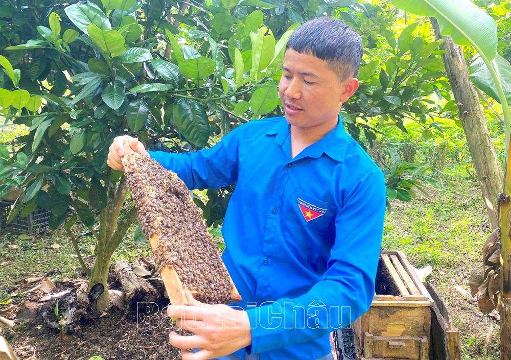 Hiện nay, anh Sáng đang tìm kiếm nguồn tiêu thụ khi nguồn mật ong anh đang sở hữu lên tớ hàng trăm lít.