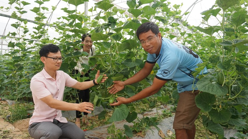 Nông nghiệp là một trong những ngành có thể tạo nhiều việc làm xanh. Ảnh: Văn Học