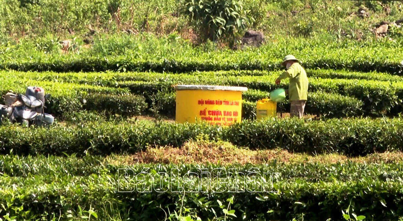 Bể chứa vỏ bao bì thuốc bảo vệ thực vật giúp nông dân có địa điểm tập kết rác, không ảnh hưởng môi trường.