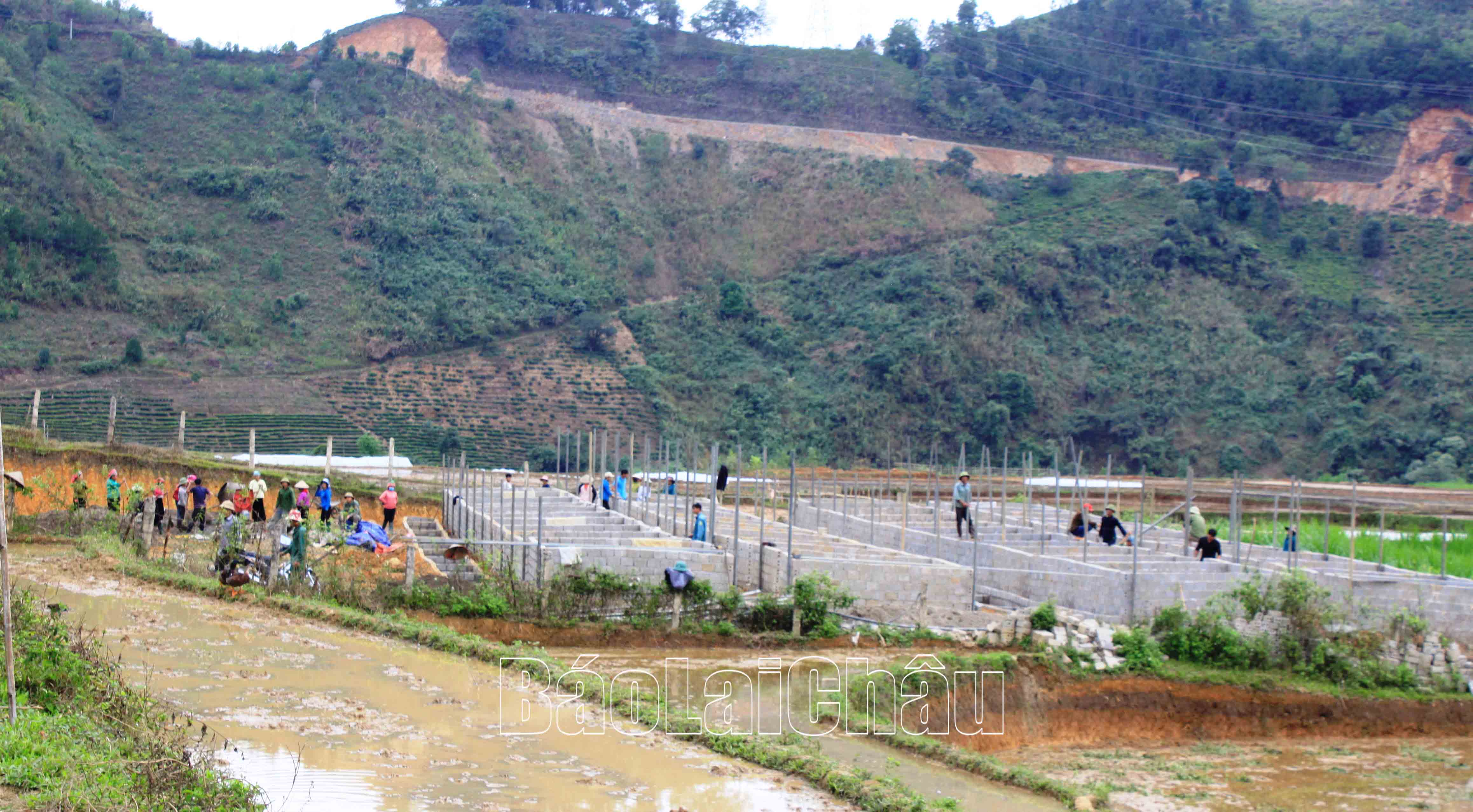 Người dân bản Phiêng Áng (xã Nậm Cần, huyện Tân Uyên) xây dựng chuồng trại nuôi nhốt tập trung nhằm giảm ô nhiễm môi trường nội bản. 