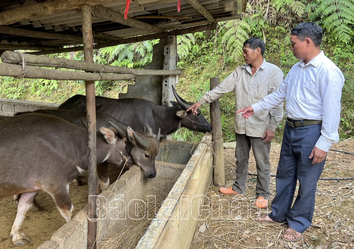 chăn nuôi
