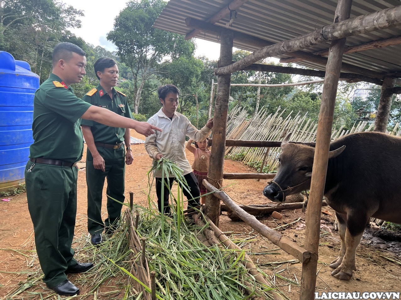 Cán bộ, chiến sĩ Đội Sản xuất và Xây dựng cơ sở chính trị số 3 hướng dẫn người dân chăm sóc trâu được cấp.